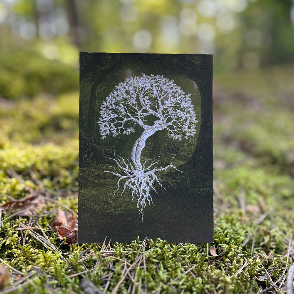 Widokówka Kobieta Drzewo