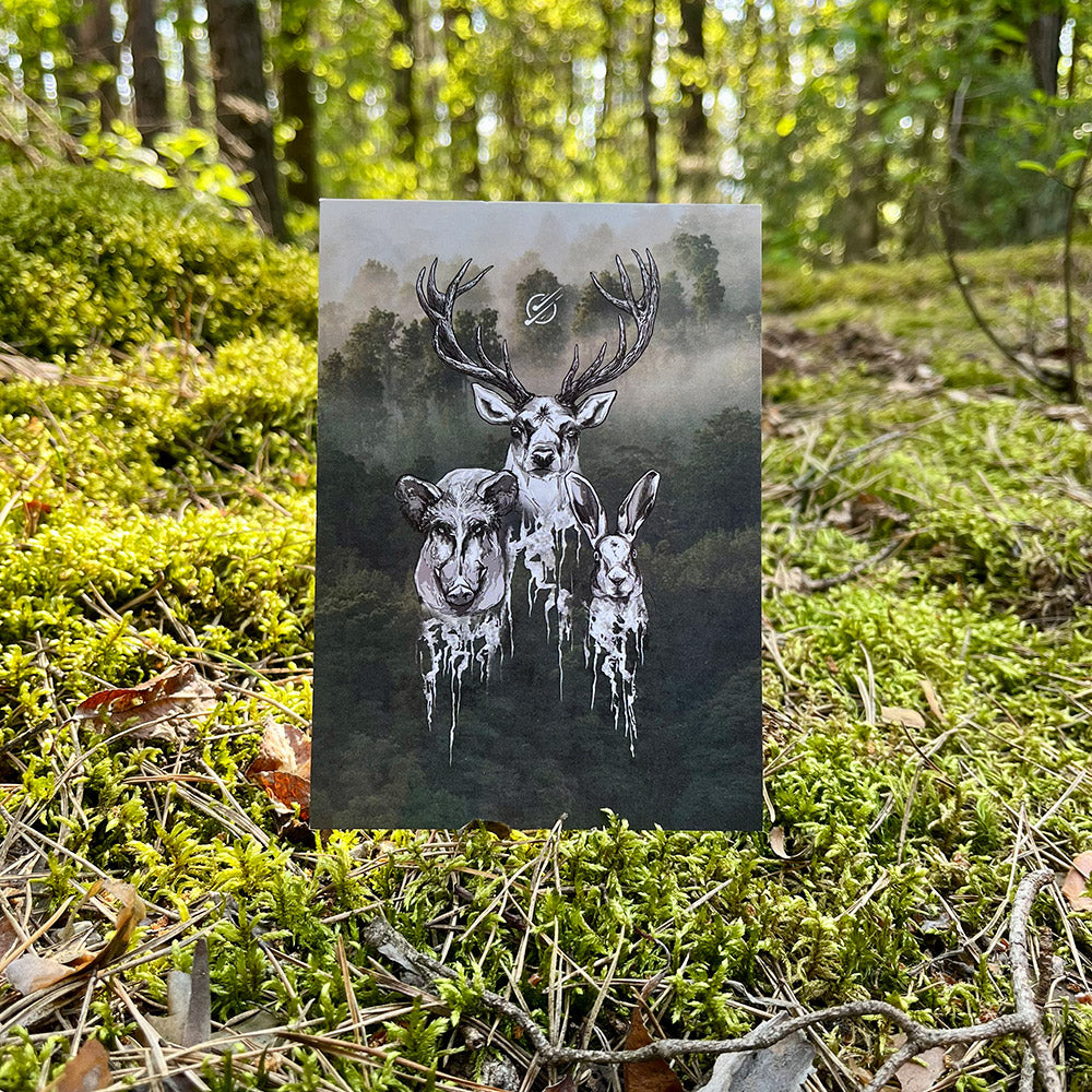 Widokówka Zwierzęta Mocy